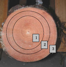 Figur 2.2 - Oversigt over prøveudtagningssteder på træskiven