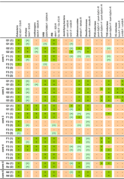 Table 1. Overview of all PCR results (duplicate samples)