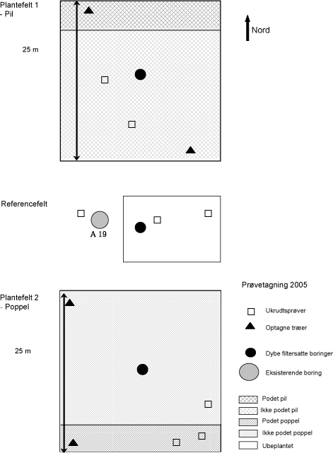 Figur 4.3 Skitse over forsøgsarealerne i Valbyparken samt angivelse af prøvetagningspunkter for planteprøver for 2005.