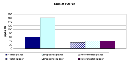 Figur 5.10 Indhold af PAH’er i ukrudtsprøver udtaget i alle tre forsøgsfelter i 2005.