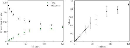 Figur 3.2.2. Perfusion med ¹4C-Benzoesyre (N=5). FM ratioen angiver forholdet CF/CM. Regressionen angiver den initiale hældning af FM ratioen også kaldet den indikative permeabilitetskoefficient (IPK) beregnet for et gennemsnit af FM ratioen. IPK er beskrevet ved ligningen y = 0,0103x – 0,0173 (r² = 0,9985) og udregnet for tidsrummet 0-30 min.