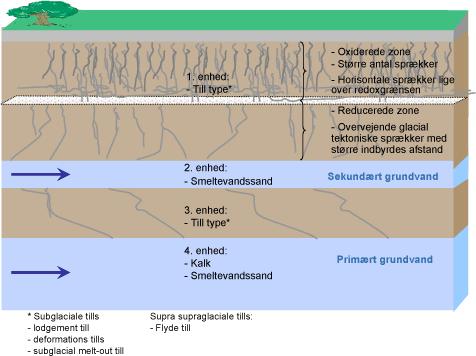 Figur 5: Konceptuel geologisk model og den geologiske karakterisering af de geologiske enheder.