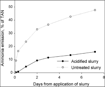 Figur 15. Kumuleret ammoniakfordampning fra slæbeslangeudbragt forsuret gylle (Acidified slurry) og ubehandlet gylle (Untreated slurry). Fordampningen er vist i procent af udbragt ammonium kvælstof (TAN)