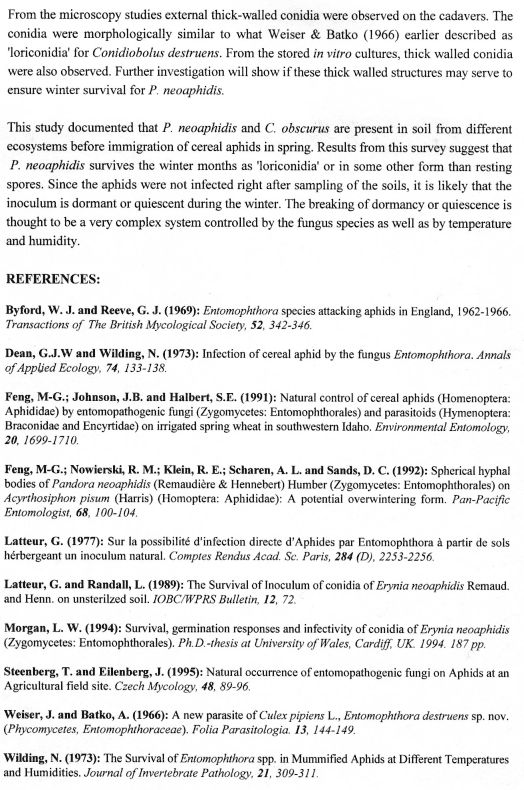 bila3d .gif (129451 bytes)