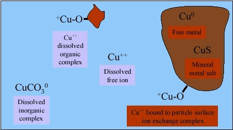 Figure 4.3 Distribution of metals in soil, copper as example