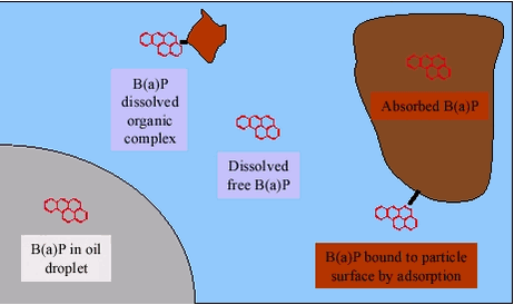 Figure 4.2 Distribution of PAH in soil, benzo(a)pyrene as example