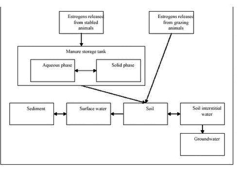 Click on the picture to see the html-version of: ‘‘Figure 2.3 - Conceptual diagram illustrating the compartments where estrogens from animals may occur and where chemical analysis is needed‘‘