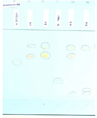 Fig. 5.1 TLC of balloon nos. 1, 3, 6, and 8. Visualisation by cupri sulphate