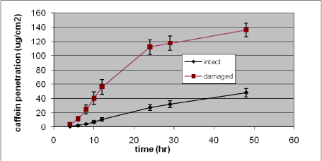Figure 20. In vitro percutaneous penetration of caffeine through intact and slightly damaged human skin. A total amount of 424 &micro;g (4 mg/ml) was added to the donor chamber and penetration followed for 48 h. Results are presented as mean &plusmn; SEM (n = 14 per group)