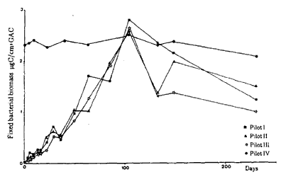 Figur 3.3 Kolonisering af GAC filtre m�lt ved <NOBR><SUP>14</SUP>C-glucose</NOBR> oms�tning. Pilot IV er et referenceanl�g, hvor biomassen befinder sig i den station�re fase (Servais et al., 1994). (5 Kb)