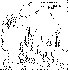 Danmarkskort (10853 bytes)