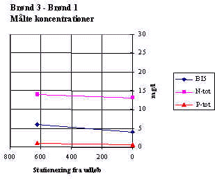 wpe51.jpg (10953 bytes)