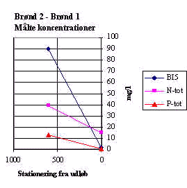wpe62.jpg (11314 bytes)