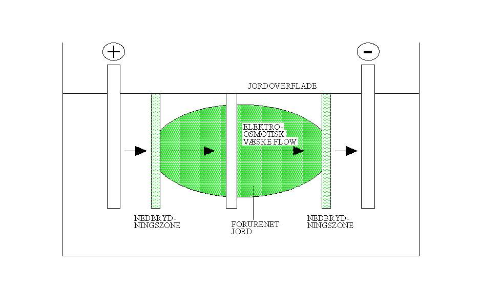 Skematisk beskrivelse af elektrokinetisk oprensning af organiske forureninger v. Lasagna<sup>TM</sup>-metoden 
      /49/.