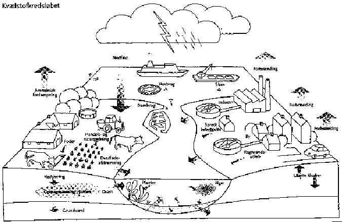 wpe7.jpg (50763 bytes)