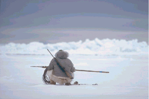 Hvalfangst ved Qaanaaq (Thule).