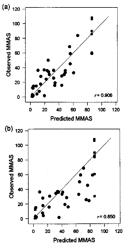 Image34.gif (9792 bytes)