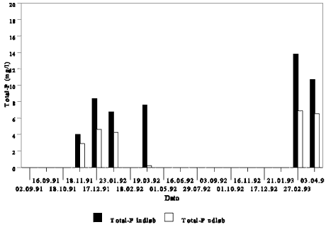 b3.6.gif (6560 bytes)