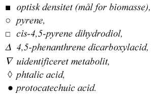 wpe1DB.jpg (9528 bytes)
