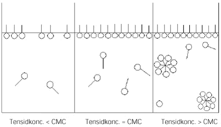 Figur 2.2 Fordeling af tensider ved koncentrationer omkring den kritiske micelkoncentration, CMC