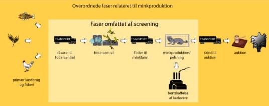 Figur 1.1 Faser der er omfattet LCA-screeningen