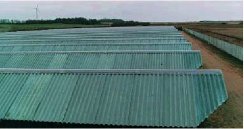 Farm A er opbygget med 25 haller p&aring; en lang r&aelig;kke.