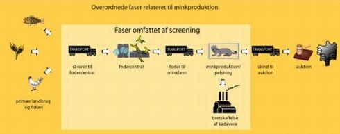 Figur 1.1 Faser der er omfattet LCA-screeningen