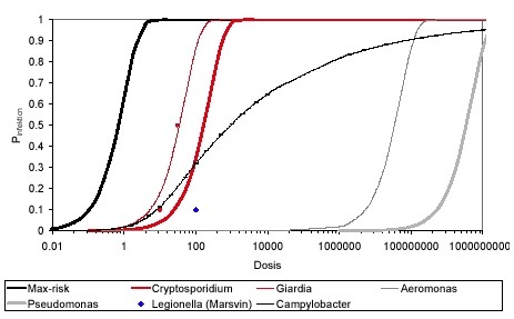 Figur 7.1 Oversigt over estimerede dosis-respons kurver i litteraturen. Den flade hældning for Campylobacter skyldes, at risikoen følger en Beta-Poisson model i modsætning til dosis-respons modellerne for de øvrige patogener.