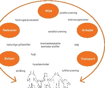 Figur 1. Mulige kilder til negative p&aring;virkninger af menneskets sundhed fra milj&oslash;faktorer. Figuren illustrerer en del af de kilder og milj&oslash;- faktorer, som kan p&aring;virke menneskets sundhed
