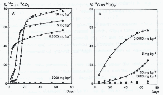 igur 7.   Nedbrydning af forskellige koncentrationer af mechlorprop vist ved udskillelsen af 14C-mærket CO2. Figuren til venstre (A) viser nedbrydningen i jord fra pløjelaget og til højre (B) i jord udtaget i dybe jordlag (Helweg et al., 1998).