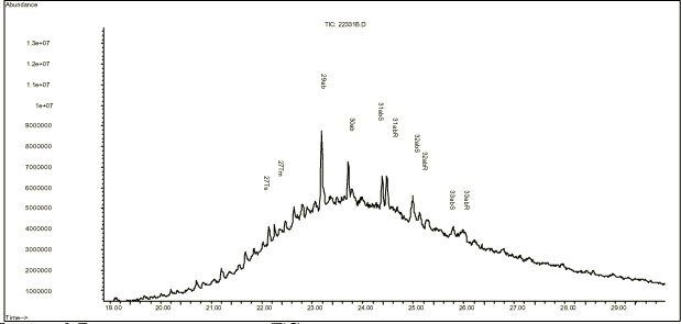 Figur 11-6. Total ion kromatogram (TIC) af motorolie, hvor hopanerne tydeligt ses som toppe ovenpå den kromatografisk uopløste bule (UCM). TIC-et ved GC-MS-scan ligner i høj grad et kromatogram fra GC-FID