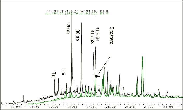 Figur 11-8. Ionspor af 191 m/z af hhv. kompost tilsat motorolie (1000 mg/kg TS) – sort og kompost - grøn. Der ses interferens fra phytosteroler i hopanmønsteret i blandinger af olie og kompost