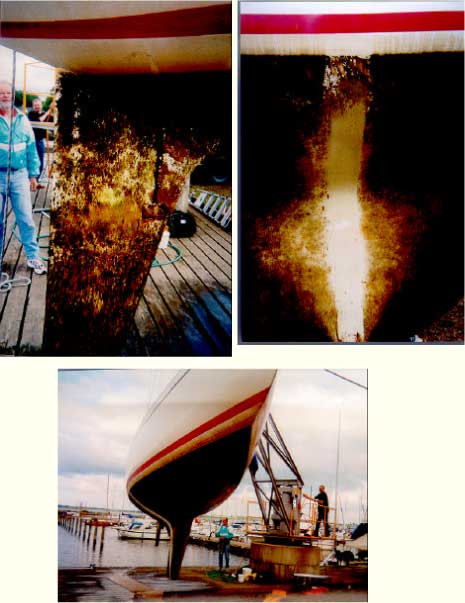 Billeder af testbåde – ikke vaskede - Skive