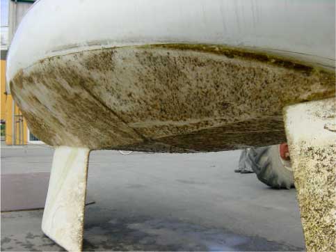 Billede af testbåde – ikke vaskede - Første inspektion - Marselisborg