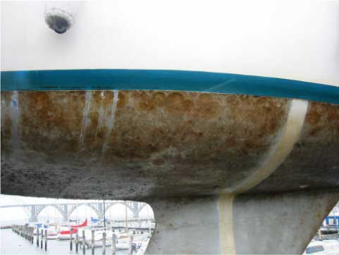 Billede af testbåde – ikke vaskede - Trejde inspektion - vinteroptagning - Kalvehave