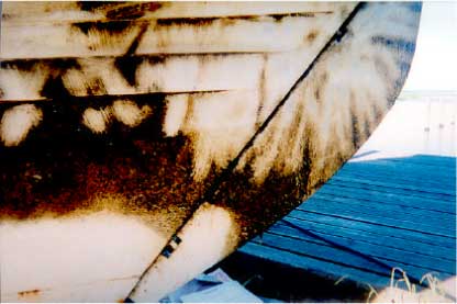 Billede af testbåde – vaskede - Første inspektion - Skive