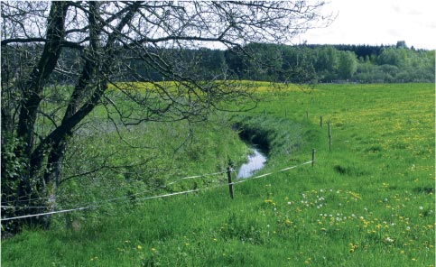 Foto: Lille vandl&oslash;b