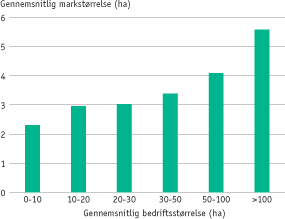 Figur: Den gennemsnitlige markst&oslash;rrelse i forhold til den gennemsnitlige bedriftst&oslash;rrelse i 2003