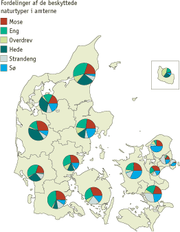 Figur: Fordelinger af de beskyttede naturtyper i amterne (Mose, eng, overdrev, hede, strandeng og s&oslash;)