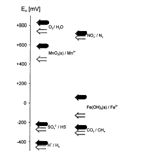 Figur 3.2. Redoxpotentialer for nogle af de vigtigste redoxaktive forbindelser i sedimenter for henholdsvis pH 7 (mørke pile) og pH 8 (lyse pile). Redoxpotentialerne er beregnet for aktiviteterne {red} = 1 og {Ox} = 1; og i forbindelse med Fe(II) og Mn(II), er {Mn<sup>2+</sup>} = 1x10<sup>-6</sup> og {Fe<sup>2+</sup>} = 1x10<sup>-6</sup> (Sigg, 2000).
