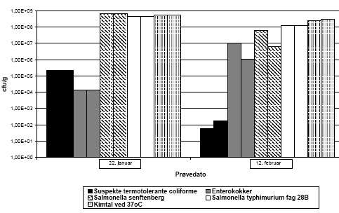 Fig. 5.5. Reduktion i antal mikroorganismer i fækalt materiale placeret i bunden af kompostbeholder 1 (resultater af dobbeltbestemmelser er angivet).