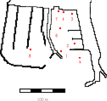 Figur 3.2. Skitse af Kalvehave Havn med indtegnede prøvetagningslokaliteter. Bemærk at station 5, der ligger ca. 300 m sydvest for havnen, af praktiske grunde ikke er medtaget på figuren.