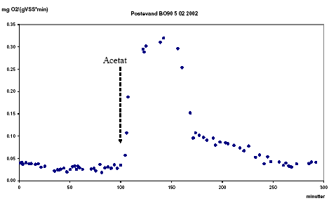 Figur 8.13 Ilt forbrugs rate (OUR) målt på postevand d.5. februar 2002. Acetat blev tilsat efter 100 minutter.