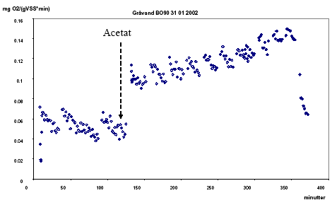 Figur 8.14 Ilt forbrugs rate (OUR) målt på gråvand fra BO-90 d.31. Januar 2002. Acetat blev tilsat efter 125 minutter.