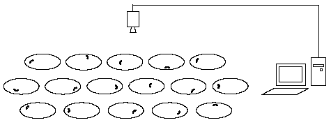 Figur 2.1. Videosporingssystemet (EthoVision Pro)