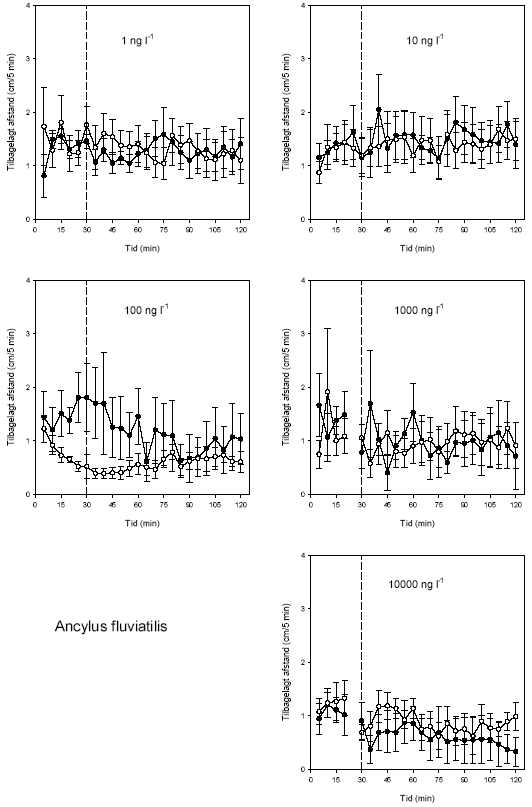 Figur 3.11. Effekt af lambda-cyhalothrin på tilbagelagt afstand hos Ancylus fluviatilis