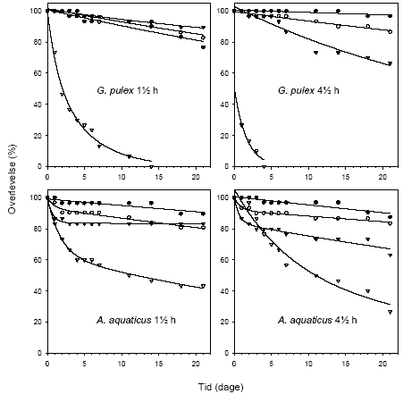 Figur 3.12. Overlevelsen (%) hosA. aquaticus og G. pulex i en 21-dages restitueringsperiode efter en pulseksponering for lambda-cyhalothrin