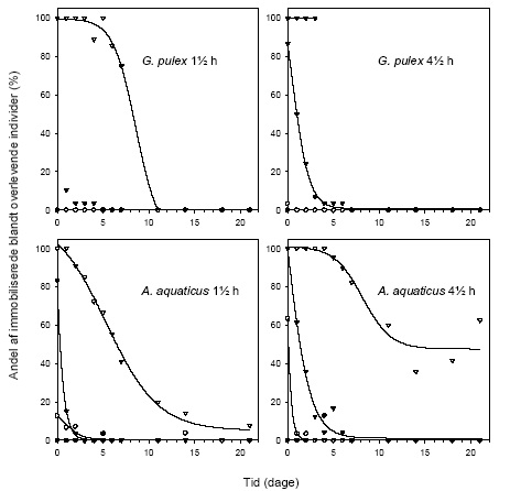 Figur 3.13. Andelen (%) af immobiliserede individer blandt overlevende A. aquaticus og G. pulex i en 21-dages restitueringsperiode efter en pulseksponering for lambda-cyhalothrin