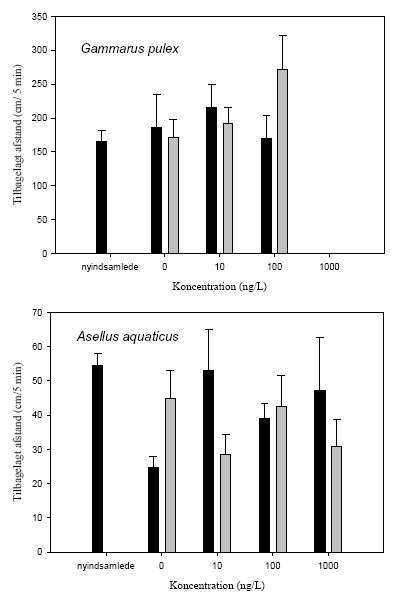 Figur 3.14. Tilbagelagt afstand hos Gammarus pulex og Asellus aquaticus efter 21 dages restituering efter pulseksponering for lambda-cyhalothrin