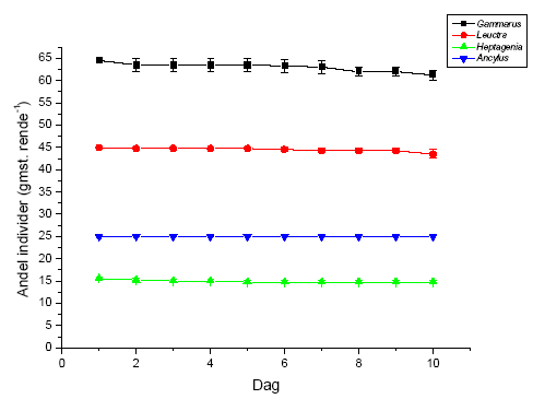 Figur 3.37. Gennemsnitligt (&plusmn; standard error, n=4) antal individer af de fire unders&oslash;gte arter i kontrolrenderne i fors&oslash;gsperioden (10 dage). Start-individantallet i renderne var 65 for Gammarus pulex, 45 for Leuctra nigra, 25 for Ancylus fluviatilis og 15 for <em>Heptagenia sulphurea